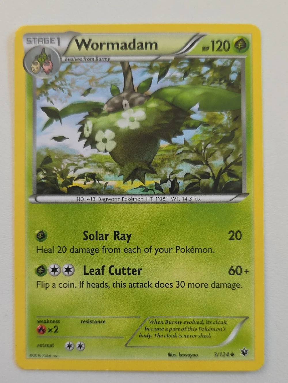 Pokemon Burmy And Wormadam Card